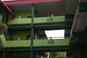 DSC 5398